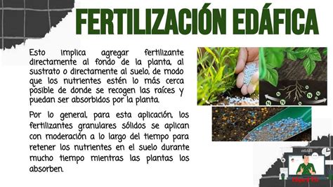 Fertilizaci N Ed Fica Agronomia Udocz