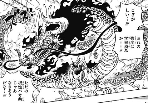 Onepiece 1002「四皇vs新世代」 我思う故に・・・新館我思う故に・・・新館