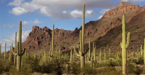 Los Desiertos Más Famosos En México Para Visitar Architectural Digest