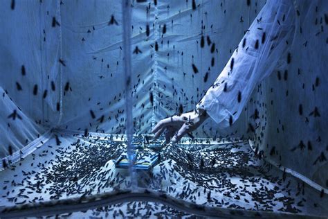 Environmental Photographer of the Year 2023 winning images revealed ...