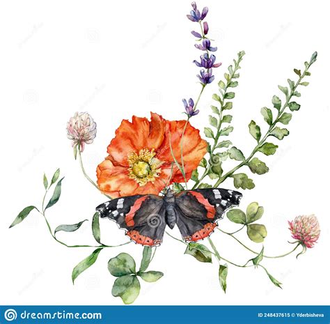 Aquarellblumen Mit Mohnbl Ten Geranium Und Schmetterling Handgemalte