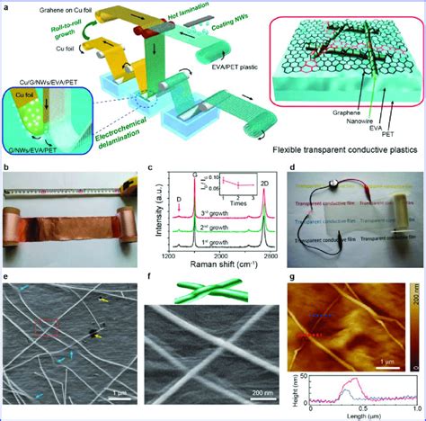 Schematic And Structure Of Graphene And Metal Nanowire Hybrid Films