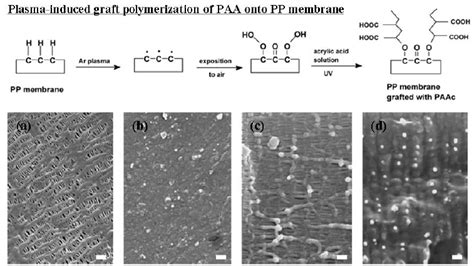 Top Schematic Drawing Of Surface Modification Of Microporous Pp Download Scientific Diagram