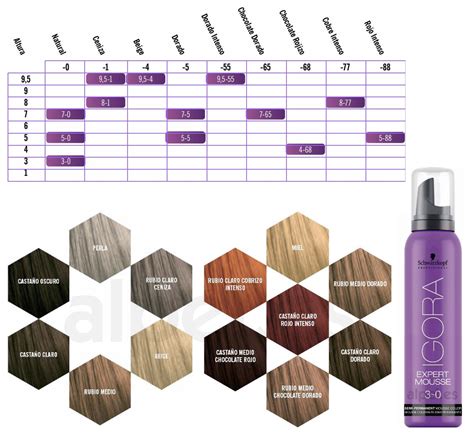 Schwarzkopf Igora Expert Mousse 9 5 55 Miel 9 15 Compra online Envío