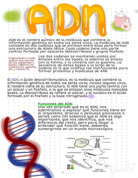 Apuntes Bonitos Adnarn Apuntes De Clase Libros De Anatomia Enseñanza De Química