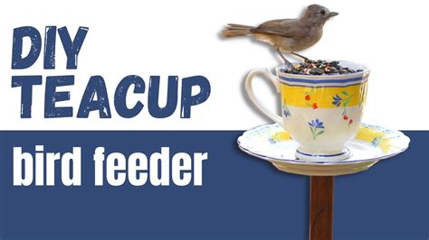 Diy Teacup Bird Feeder Cup Bird Feeder On A Pole Tutorial Budget