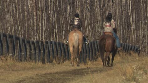 Canadian Rodeo Participant Doubles As Stunt Rider For Hollywood Blockbusters Globalnews Ca