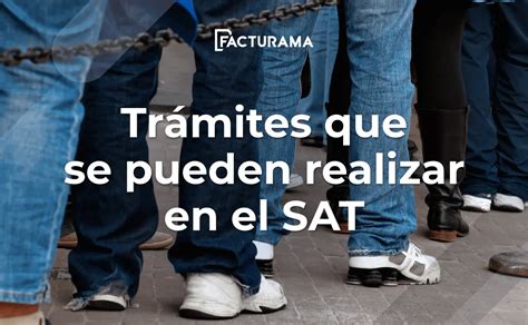 Principales Tr Mites Que Se Pueden Realizar En El Sat