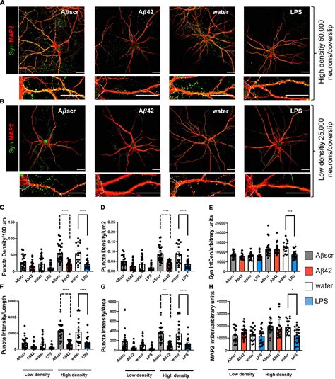 Frontiers Reactive Astrocytes Contribute To Alzheimers Disease