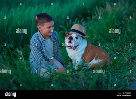 Little Boy Sitting Standing With His English Bull Dog On The Meadow Of