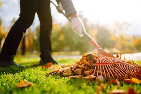 Year Round Yard Cleanup Guide Essential Tips For Every Season Waste