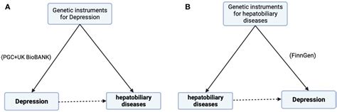 Frontiers Depression And Hepatobiliary Diseases A Bidirectional