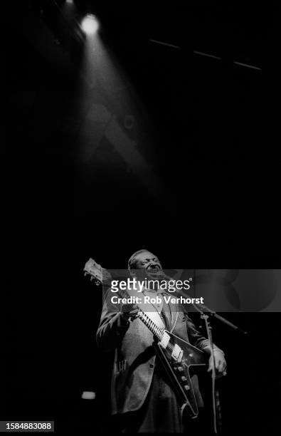 22207 Albert King Photos And High Res Pictures Getty Images