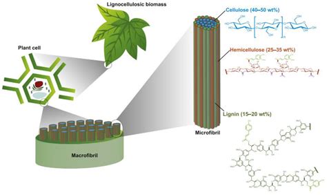 Chemengineering Free Full Text Overview On Photoreforming Of