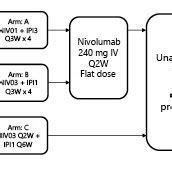 CheckMate 040 Nivolumab Plus Ipilimumab Combination Cohort Study