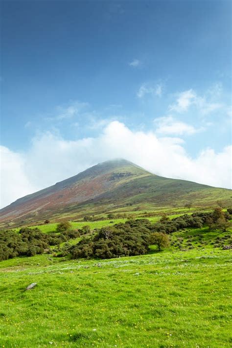 Landscape with a Hill and Green Grass · Free Stock Photo