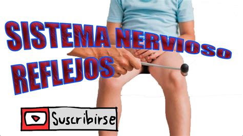 EXAMEN NEUROLOGICO REFLEJOS YouTube