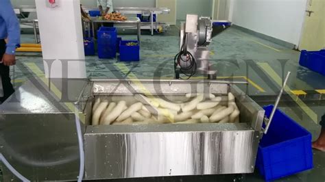 Potato Automatic Ginger Washing And Peeling Machine Stainless Steel