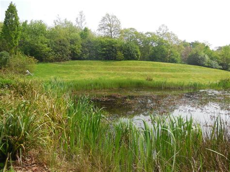 Pond By Steam Railway Exbury Gardens Paul Gillett Geograph