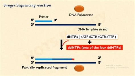 Whole Genome Sequencing Pptx