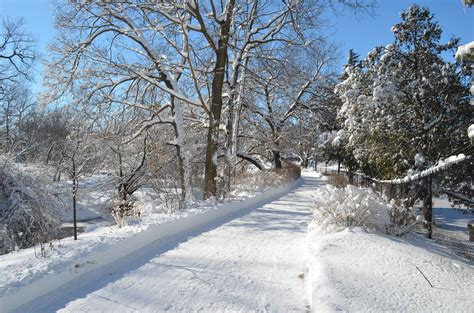 Naperville Riverwalk | Naperville riverwalk, Naperville, Outdoor