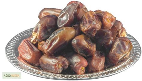Продам финики Саудовская Аравия, купить финики Саудовская Аравия ...