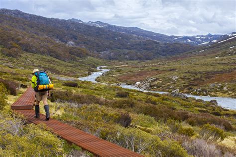 hikes  bush walks private transportation snow connect