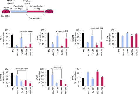 Signal Integration And Transcriptional Regulation Of The Inflammatory