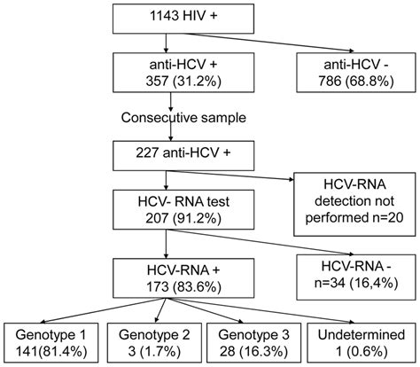 Hcv Hiv Prevalence And Genotype Distribution Flowchart Of Inclusion In