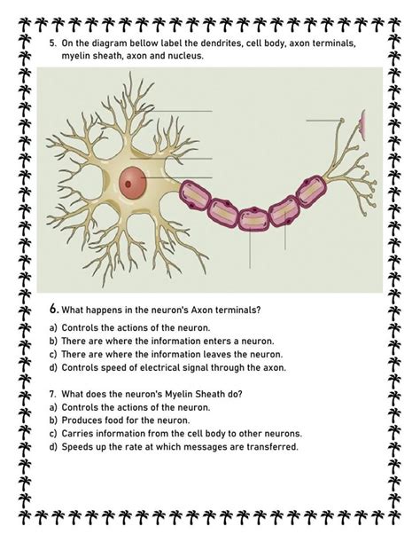 Build A Neuron Worksheet