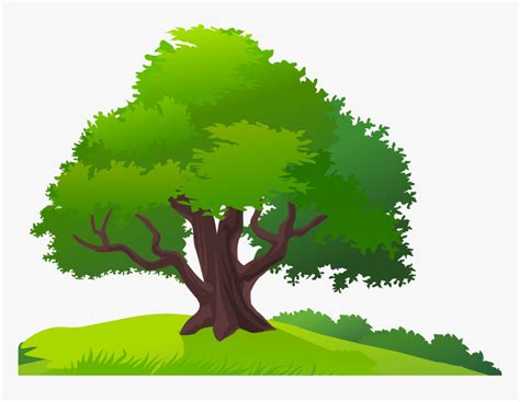 Mango Tree Clip Art Mango Tree Clipart Png Transparent Png