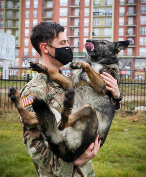 Soldier Builds Unbreakable Bond With Military Working Dog Article