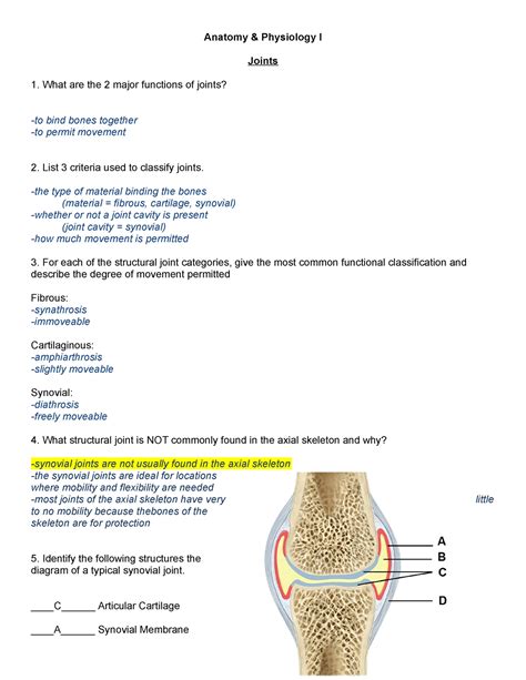 Week 7 Lab Joints Teacher Professor Patterson Anatomy And Physiology I Joints What Are The