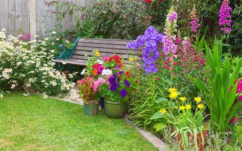 The Difference Between Annuals Perennials And Biennials Beaver Bark