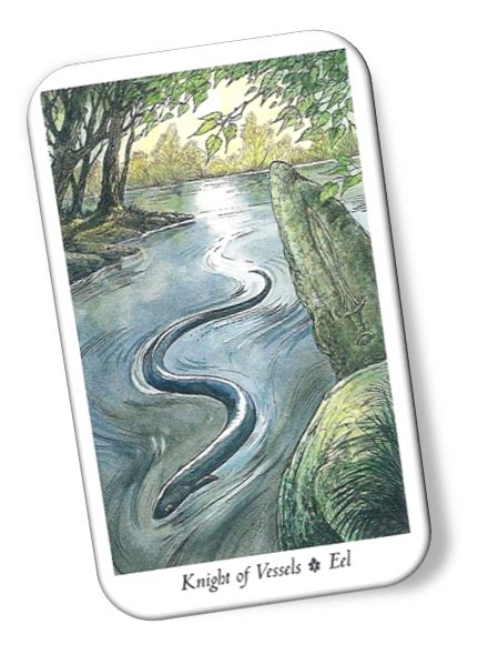 Knight Of Vessels Wildwood Tarot Card Meanings Eel Tarotx