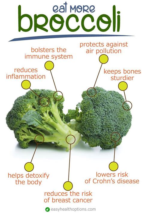 Easy Health Options® The Bountiful Benefits Of Broccoli Broccoli