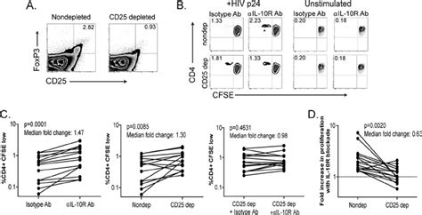 Cd25 ϩ Cell Depletion Abrogates The Effects Of Il 10r ␣ Blockade Pbmcs Download Scientific