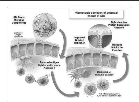 Figure From Case Series Investigating The Clinical Practice