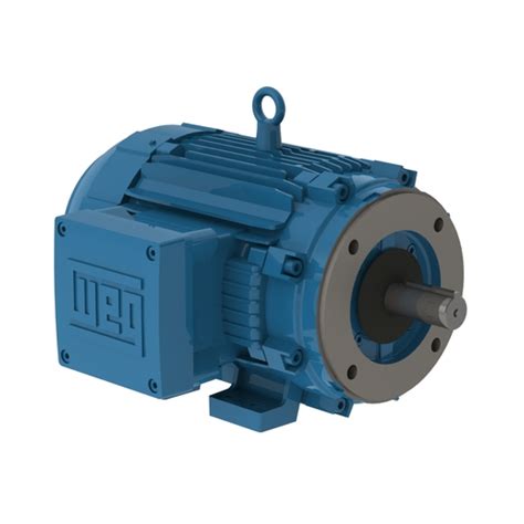 W21 Explosion Proof Motor NEMA Premium Efficiency 7 5 HP 4P 213 5TC 3Ph