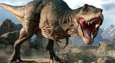 T Rex Intelligente Come Un Babbuino Ricerca Contestata Sfata Il Mito