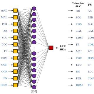 Selected Ann Neurons In The Only Hidden Layers And Feature