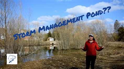 So What Is A Storm Water Management Pond Youtube