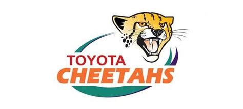 Toyota Cheetahs Have Proved Me Wrong Toyota Cheetahs