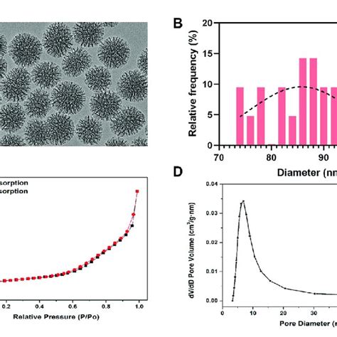 Characterization Of Mesoporous Bioactive Glass Nanoparticles Bg Nps Download Scientific