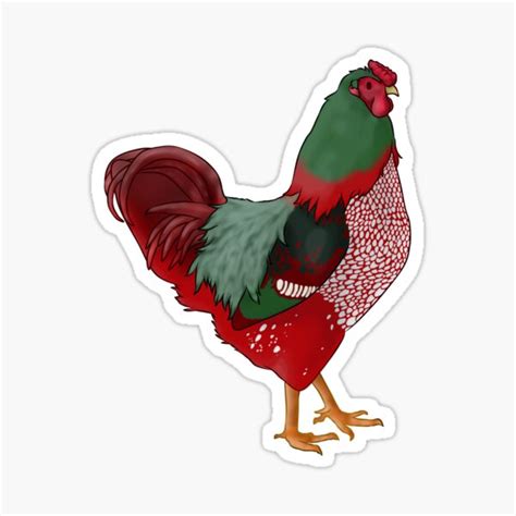 Christmas Laced Wyandotte Rooster Sticker By Clucky Designs Redbubble