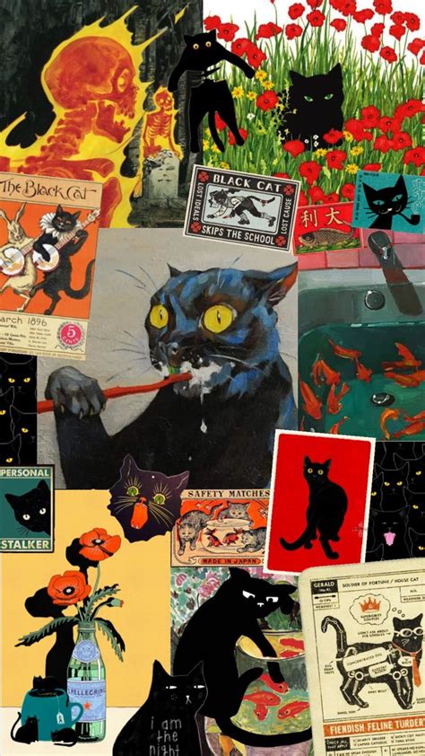 Check Out Emma Parrot S Shuffles Aesthetic Moodboard Blackcat Cat