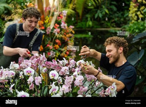 Orchideenfest 2022 Fotos und Bildmaterial in hoher Auflösung Alamy