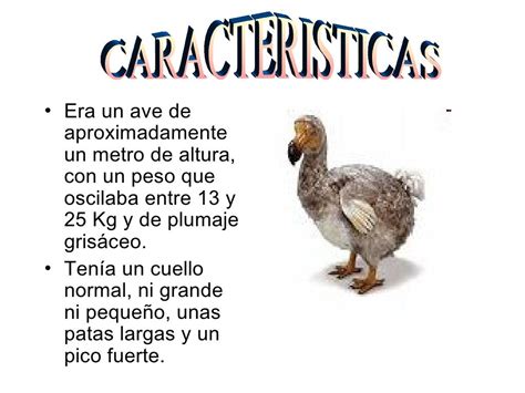 El Dodo