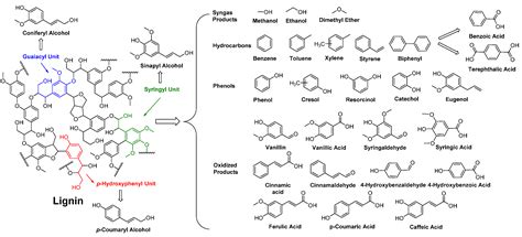 Polymers Free Full Text Enzymatic Synthesis Of Biobased Polyesters