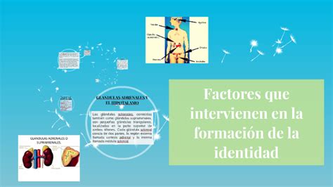 Factores Que Intervienen En La Formaci N De La Identidad By Claudette